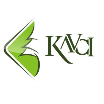 kavcı