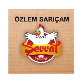 özlem sarıçam şevval yumurta
