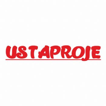 usta proje