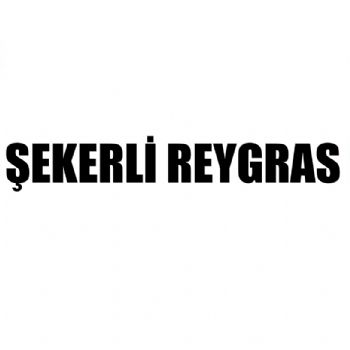 şekerli reygras