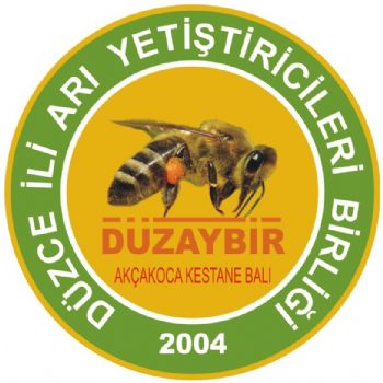 düzaybir akçakoca kestane balı