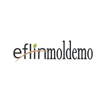 eflin moldemo