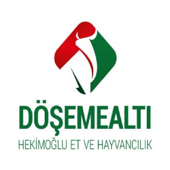 döşeme altı