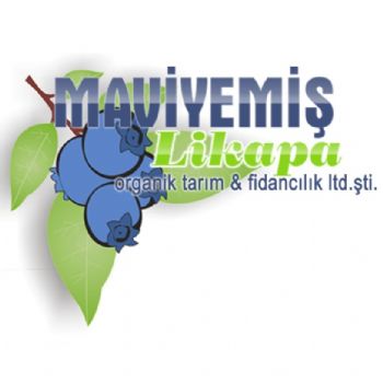 maviyemiş likapa