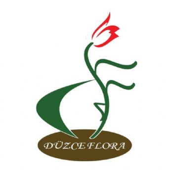 düzce flora