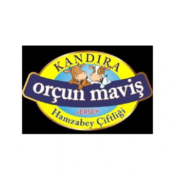 orçun maviş