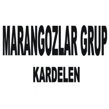 marangozlar grup