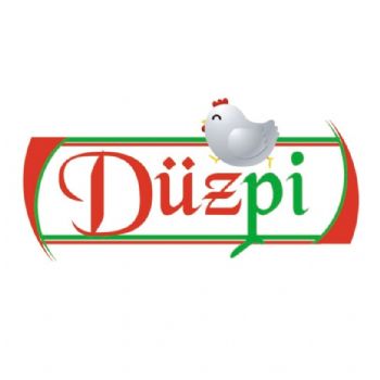 düzpi