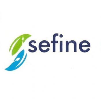 sefine