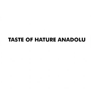 taste of fature anadolu